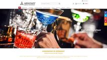 15191_screenshot-arnstadtkristall-shop-de.jpg